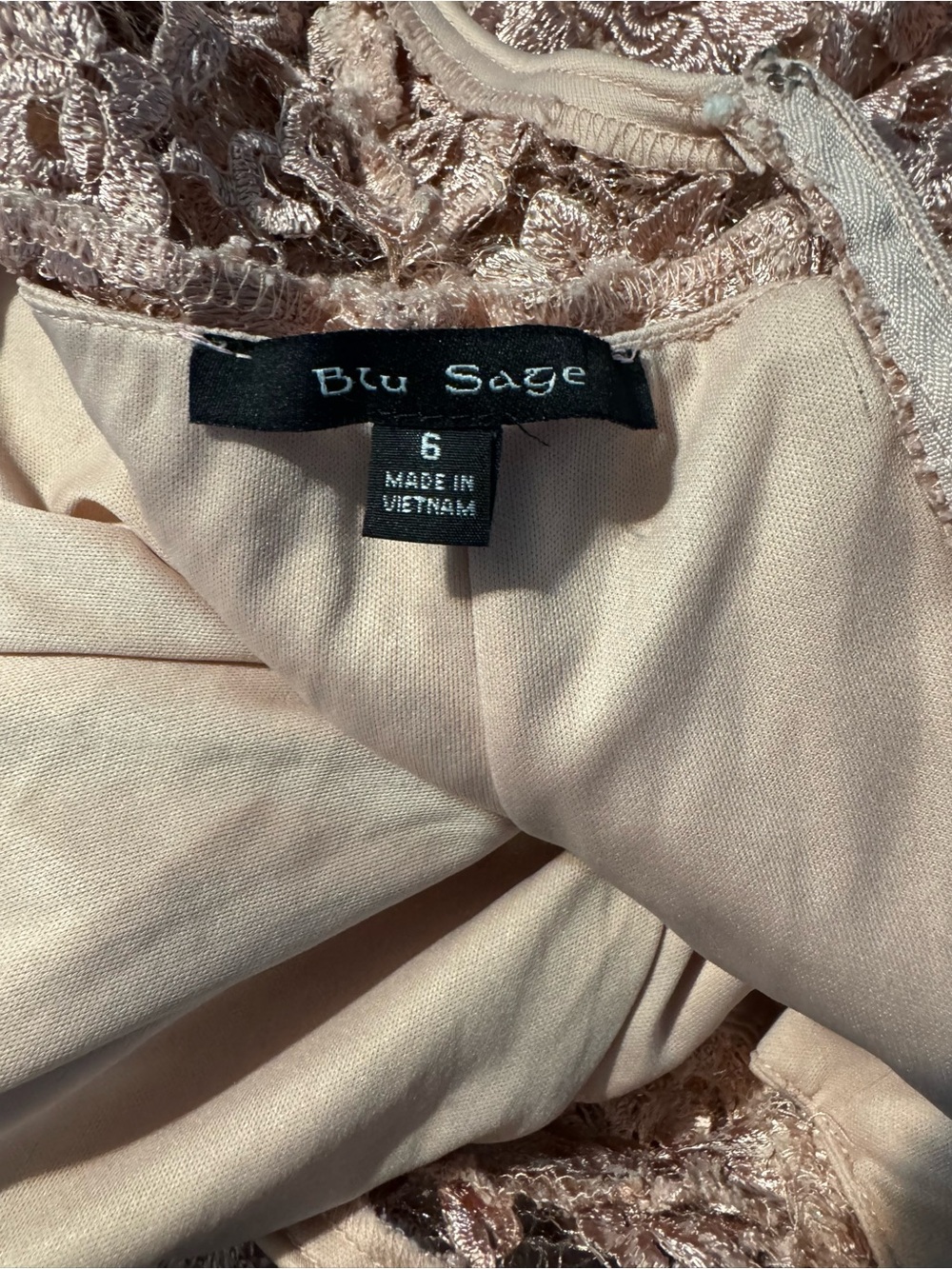 Blu Sage Rose Lace Maxi Gown - Dusty Rose - Picture 6 of 6